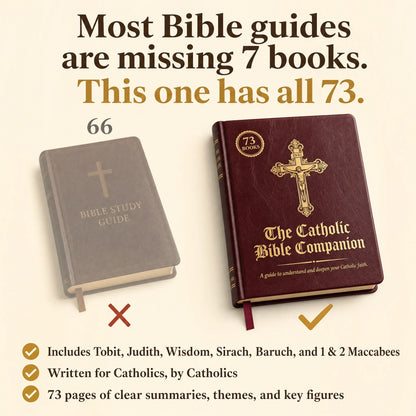 Catholic Bible Companion — All 73 Books Explained